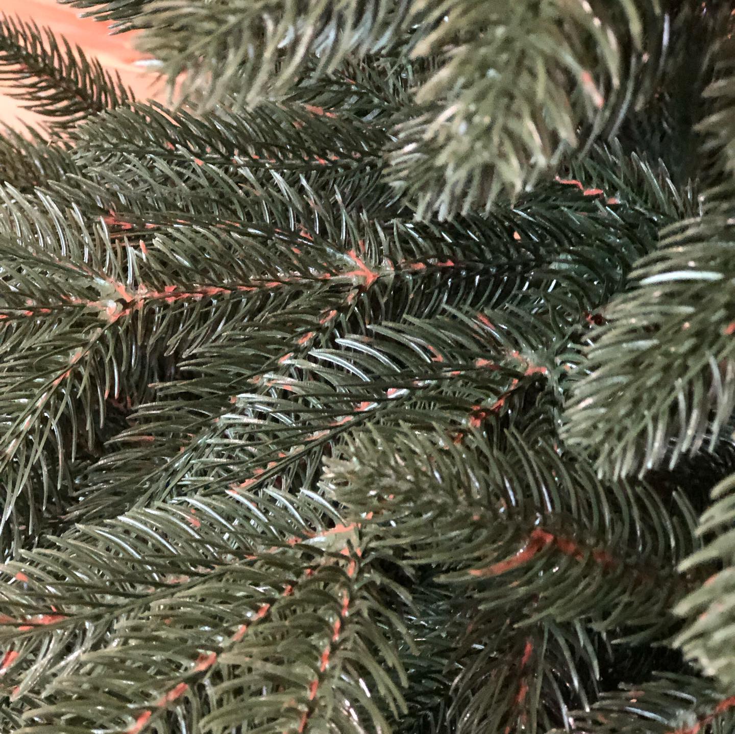 GREEN TOPS TREE