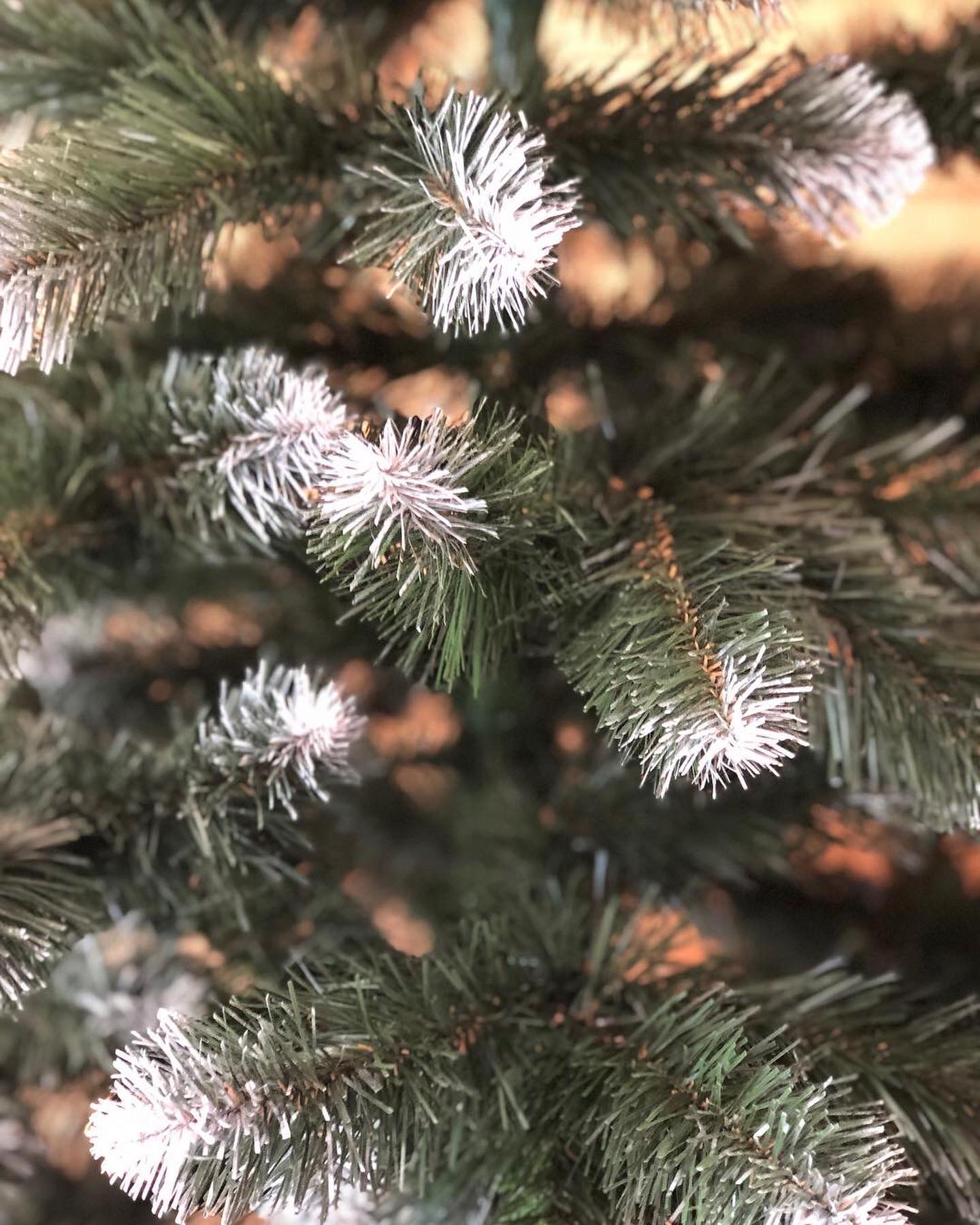 SNOWY LIVING LEAVES TREE