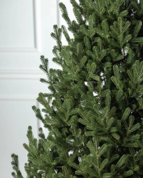 Traditional Christmas Tree