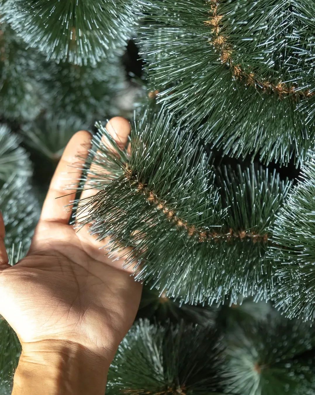 Premium Traditional Christmas Tree