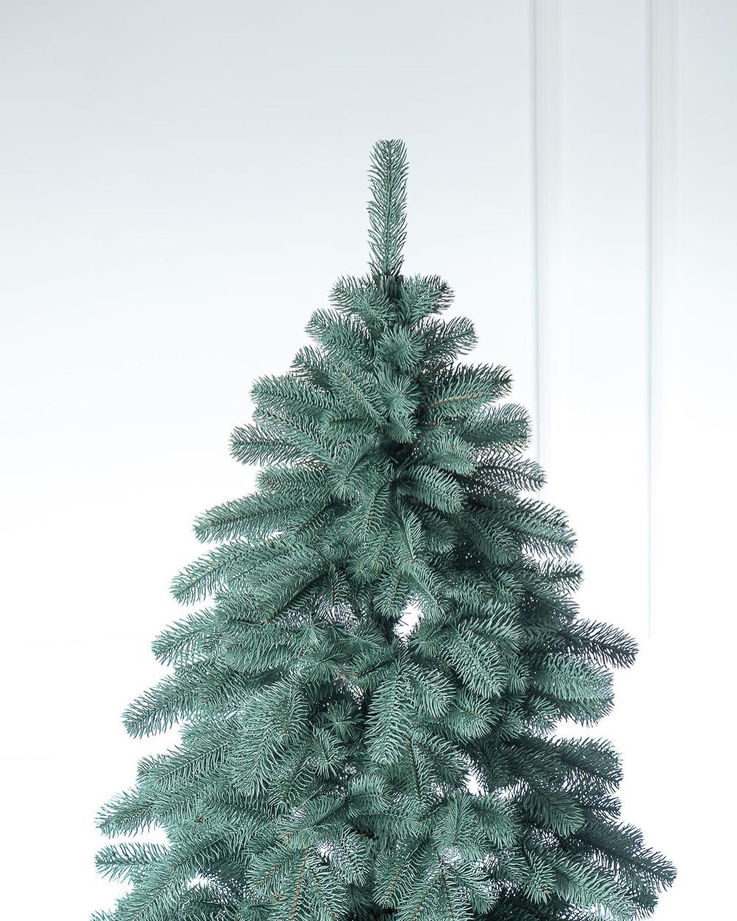 Traditional Christmas Tree