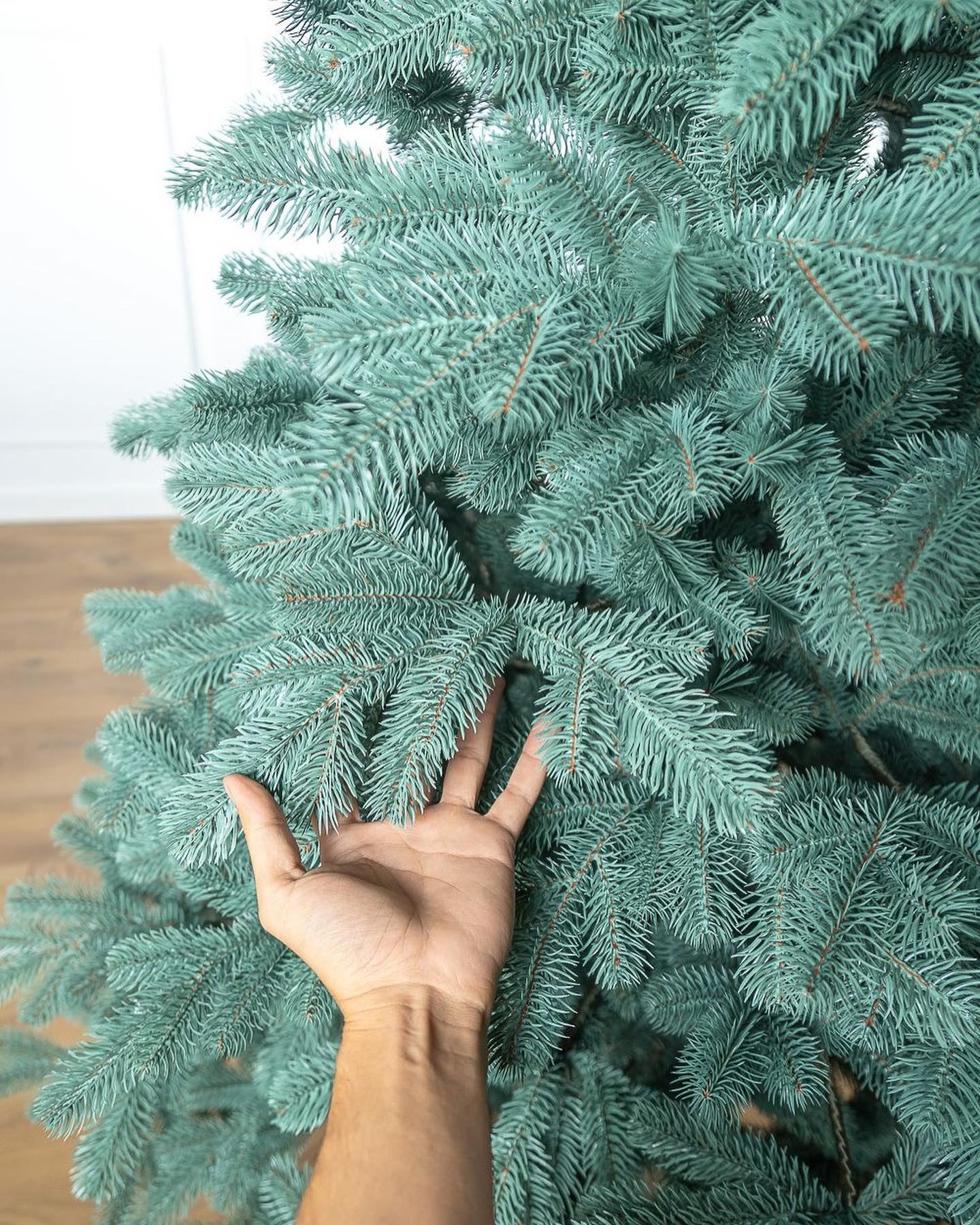 Traditional Christmas Tree