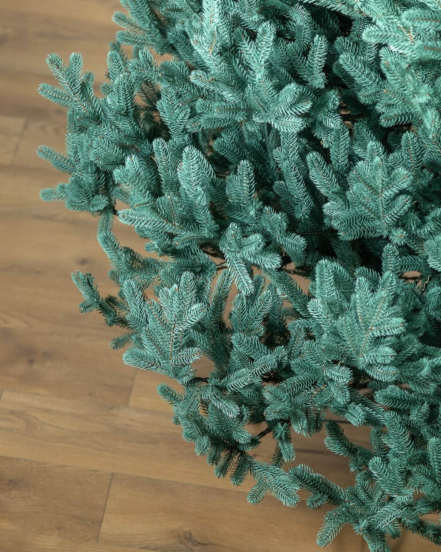 Traditional Greenish Christmas Tree