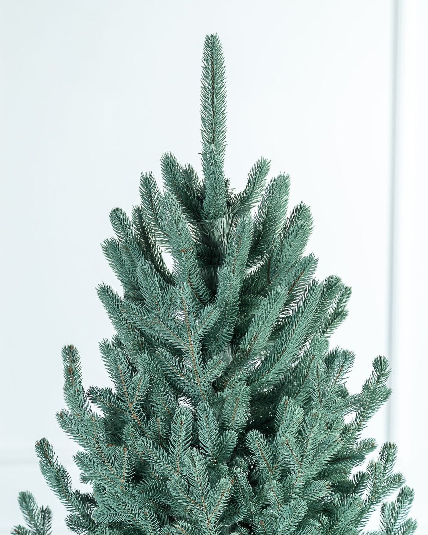 Traditional Greenish Christmas Tree