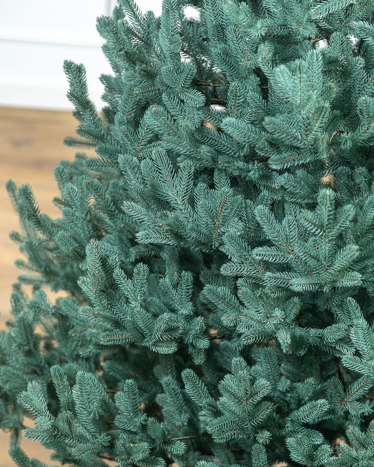Traditional Greenish Christmas Tree