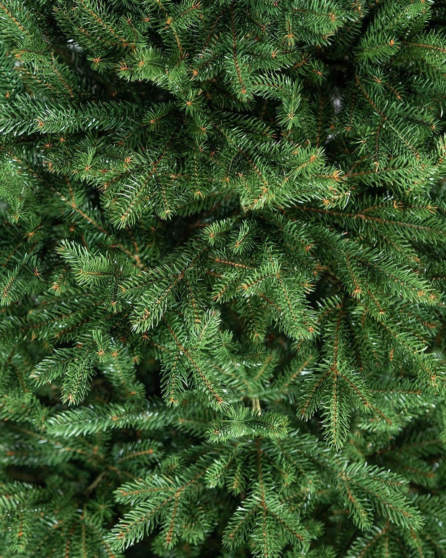 Simple Traditional Christmas Tree