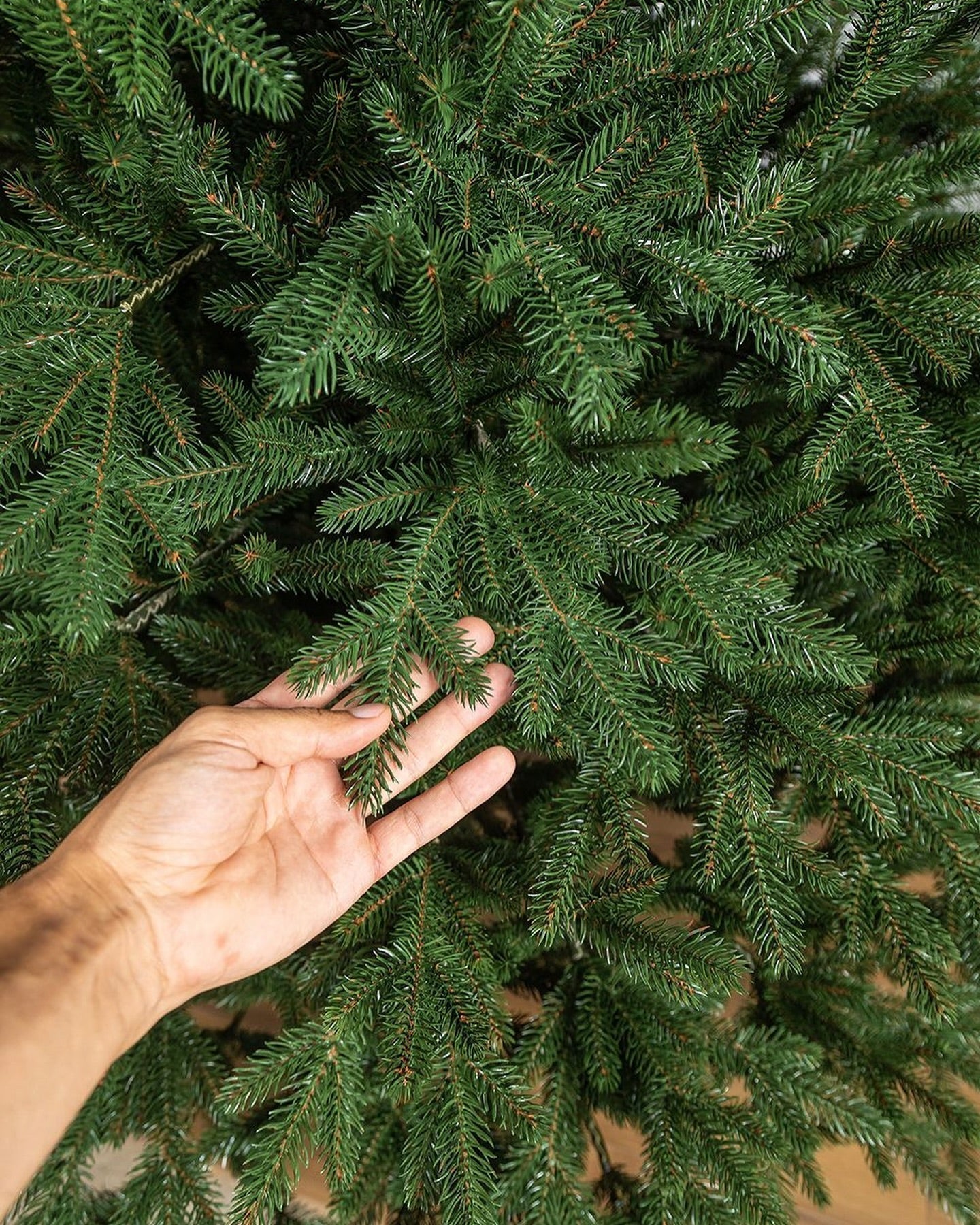 Simple Traditional Christmas Tree