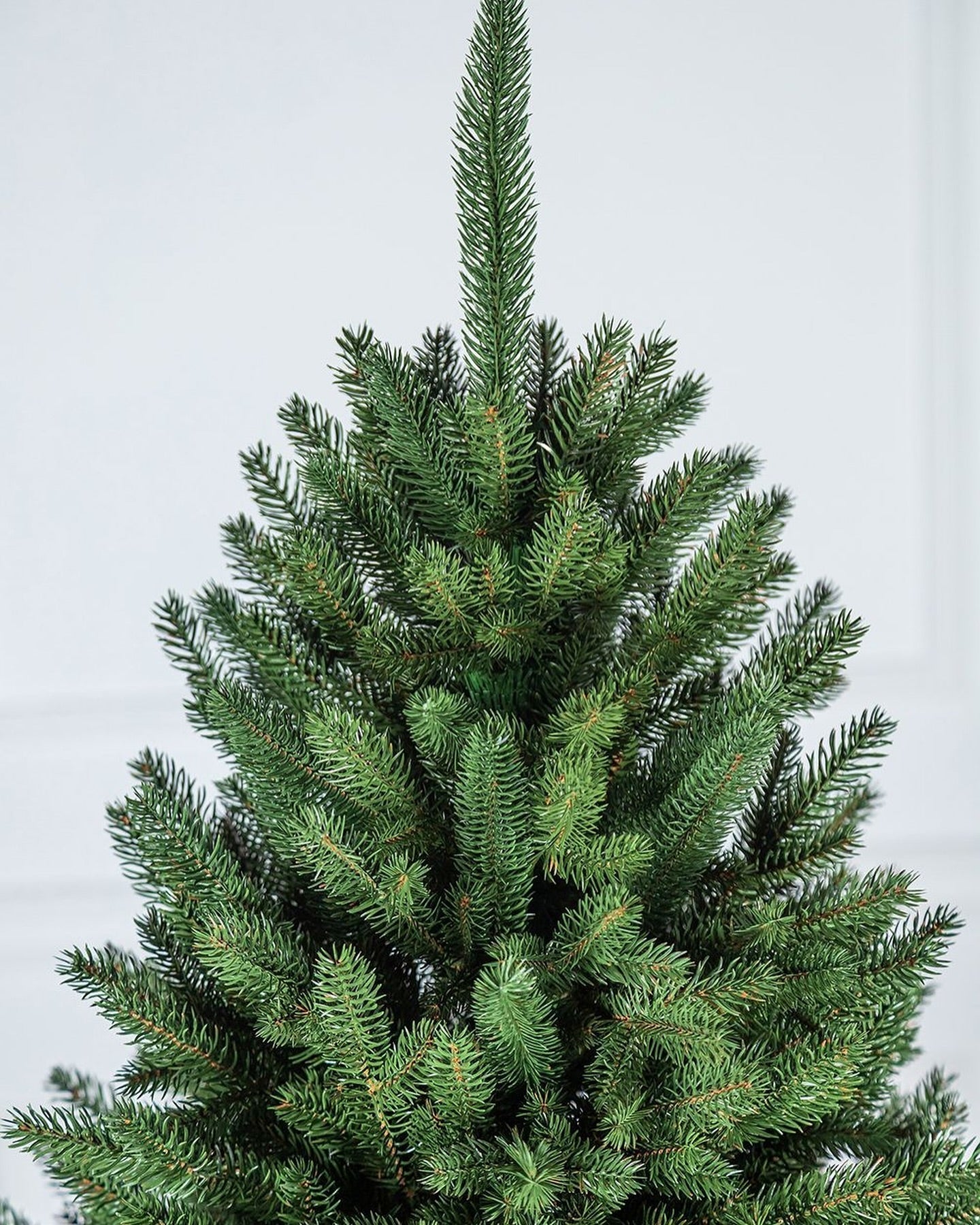 Simple Traditional Christmas Tree