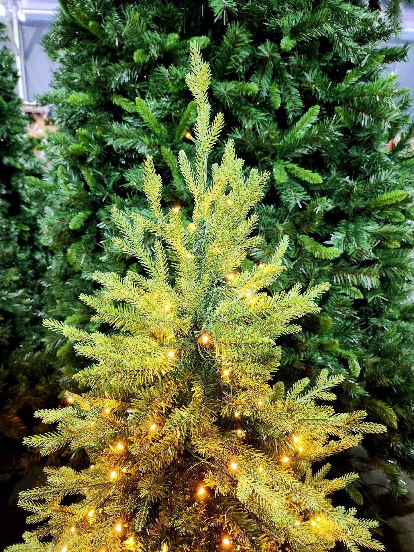 SUPER REALISTIC NIAGRA PINE TREE 2068 BRANCHES WITH 750 WARM LEDS 2.40CM