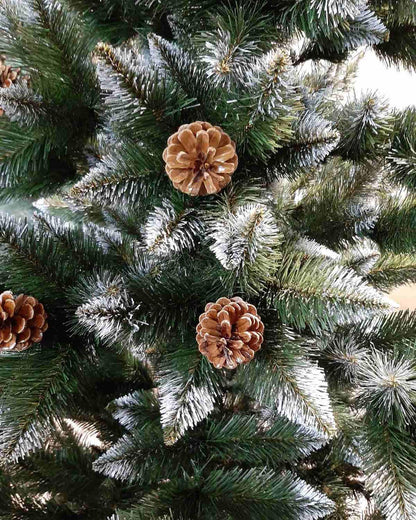 NATURAL TREE IN DECORATION