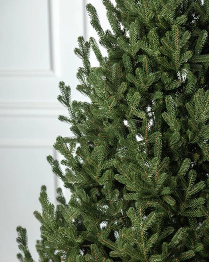 Traditional Christmas Tree