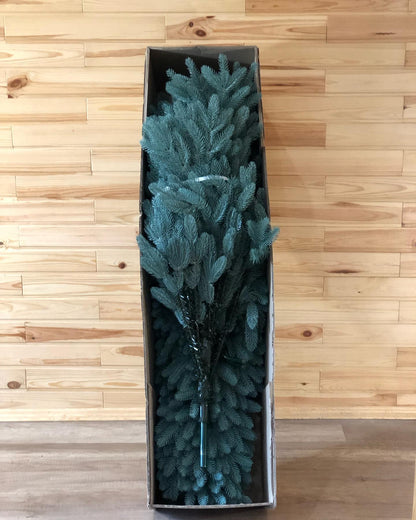 DREAM PINE TREE