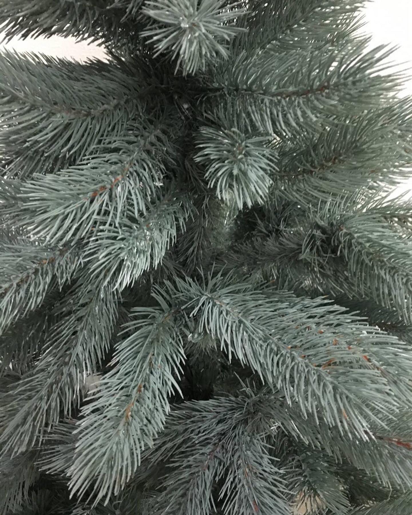 GREEN SYMPATHY TREE