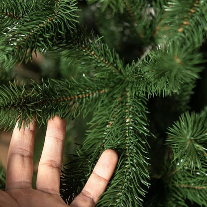 Traditional Pine Christmas Tree