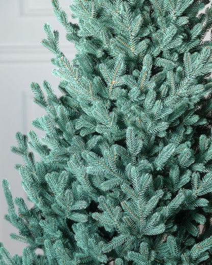 Traditional Greenish Christmas Tree