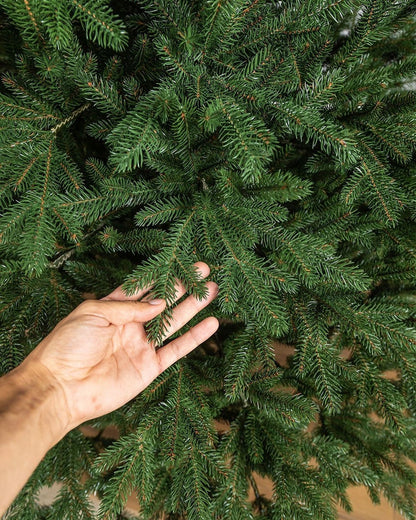 Simple Traditional Christmas Tree