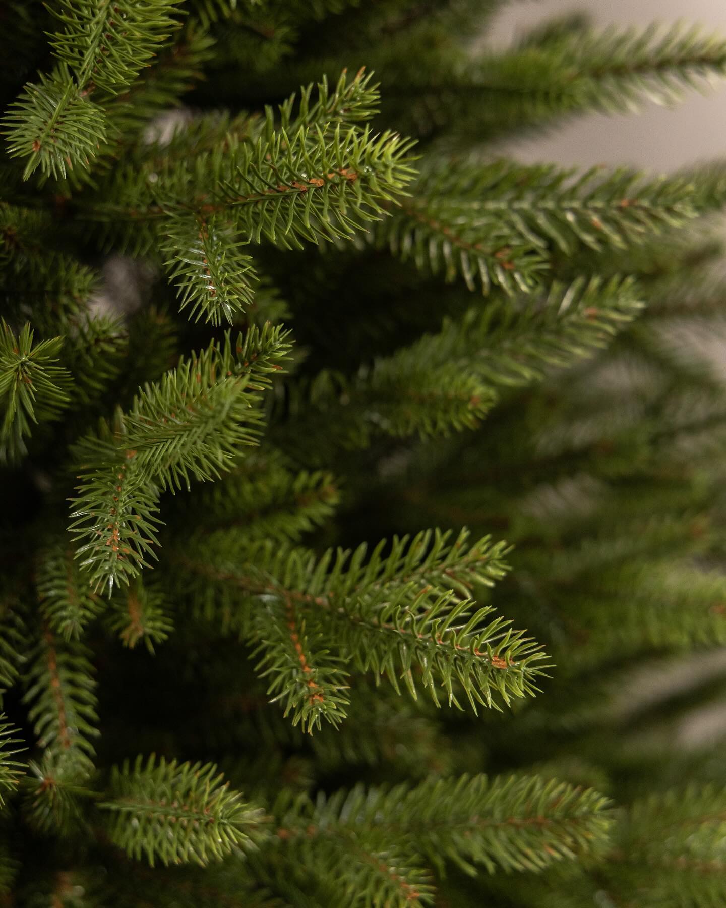Traditional Christmas Tree
