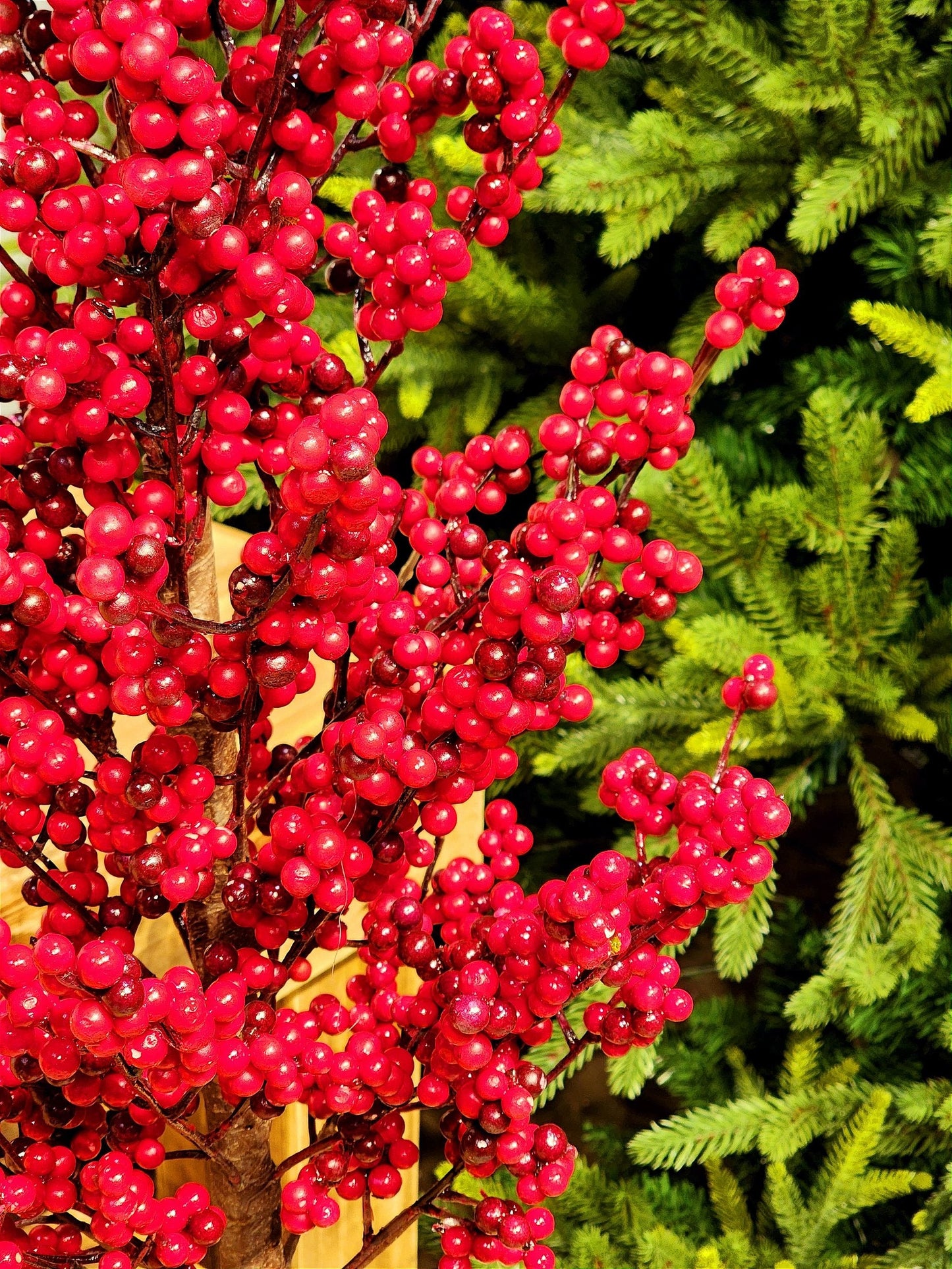 BERRY TREE IN 105CM METAL POT