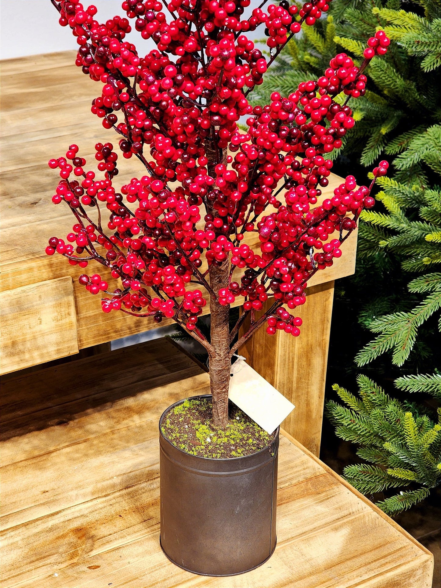BERRY TREE IN 105CM METAL POT
