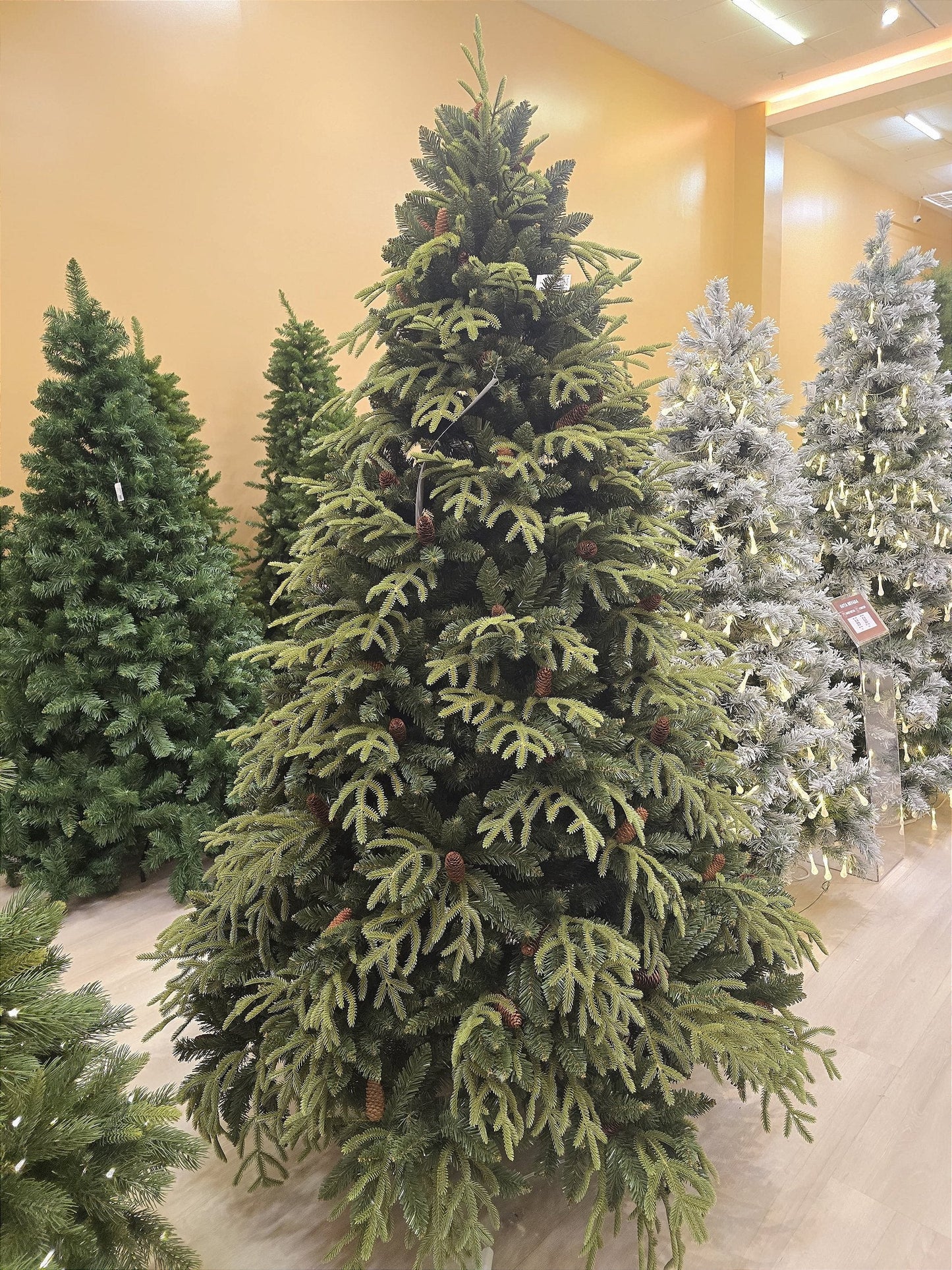 SUPER REALISTIC SANTORINI PINE TREE 4428 BRANCHES 2.10CM