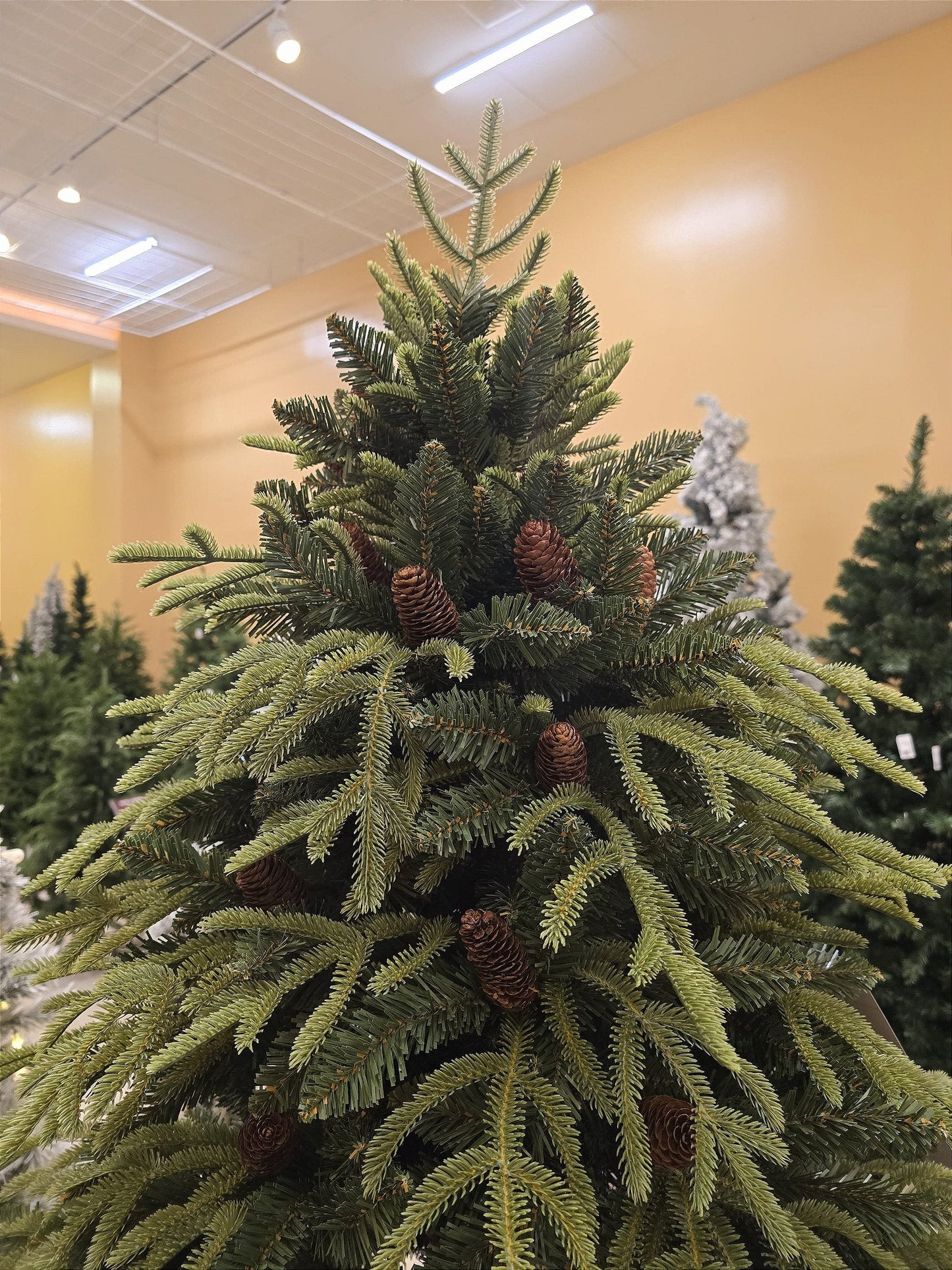 SUPER REALISTIC SANTORINI PINE TREE 4428 BRANCHES 2.10CM